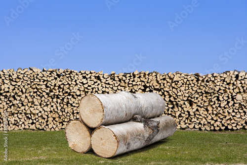 brennholz