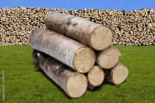brennholz