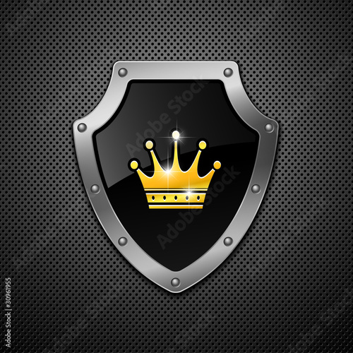Shield with crown. Vector.