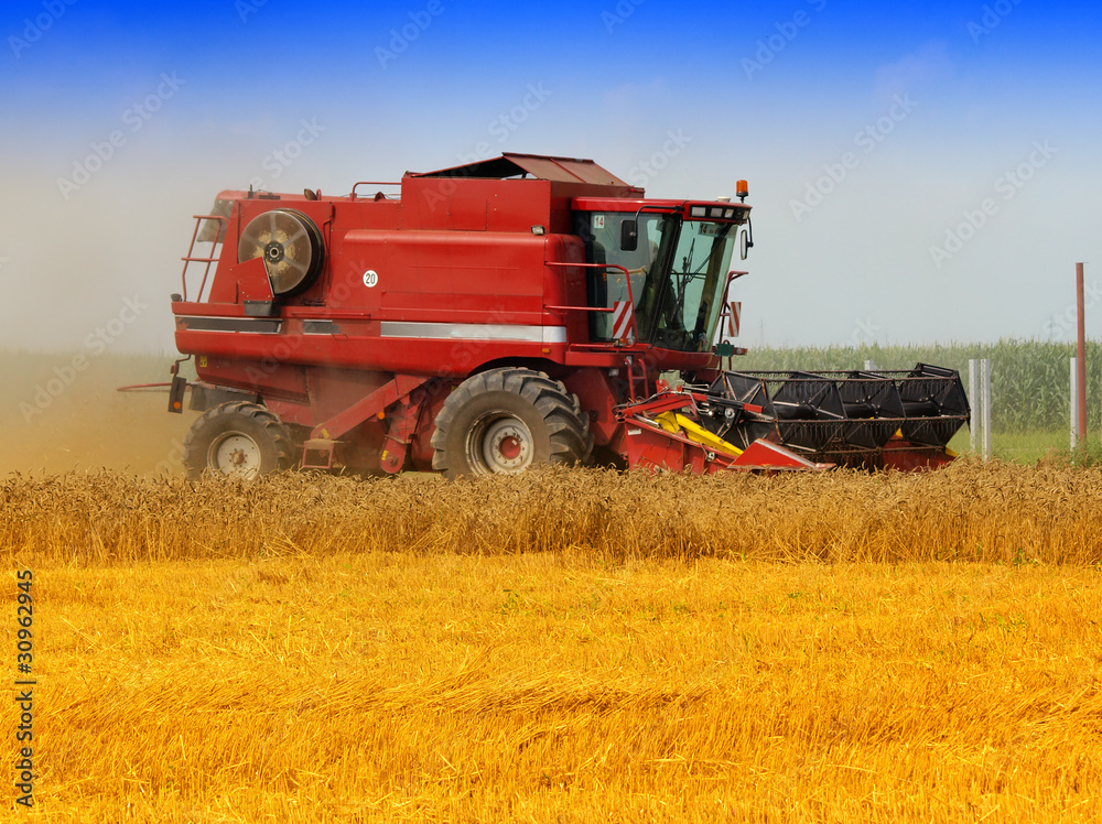 Harvest time Harvest time