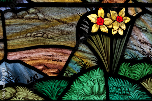 Fototapeta Naklejka Na Ścianę i Meble -  Daffodil Garden Stained Glass