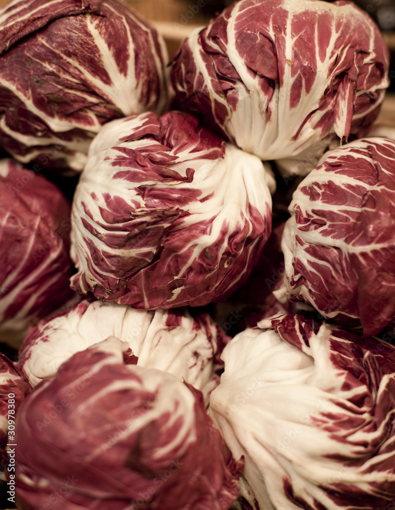 Fototapeta premium Salade rouge