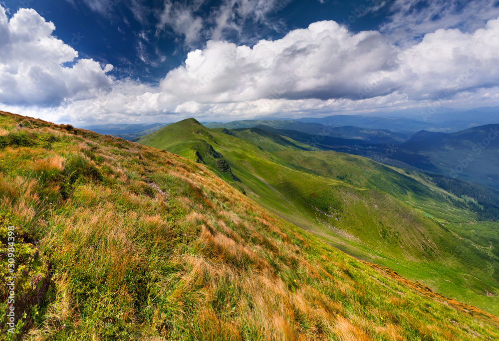 Fototapeta premium Beautiful summer landscape in the mountains