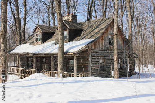 Maple Sap Buckets in Spring photo