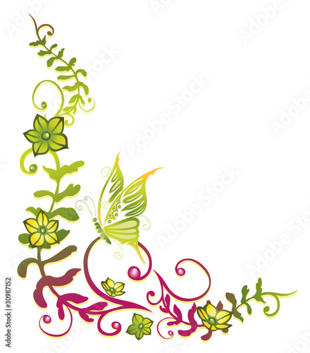 Ranke, Frühling, flora, Blumen, Blüten, filigran, grün, pink
