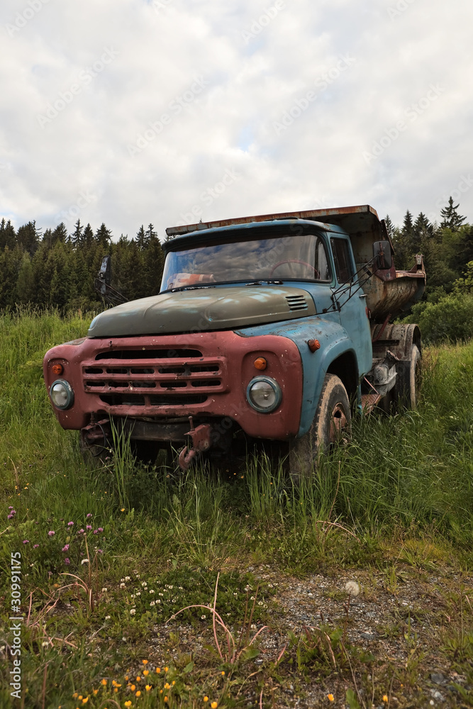 Old, rusty,abandoned truck in forest under cloudy sky.