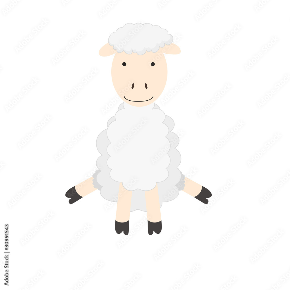 Obraz premium White sheep