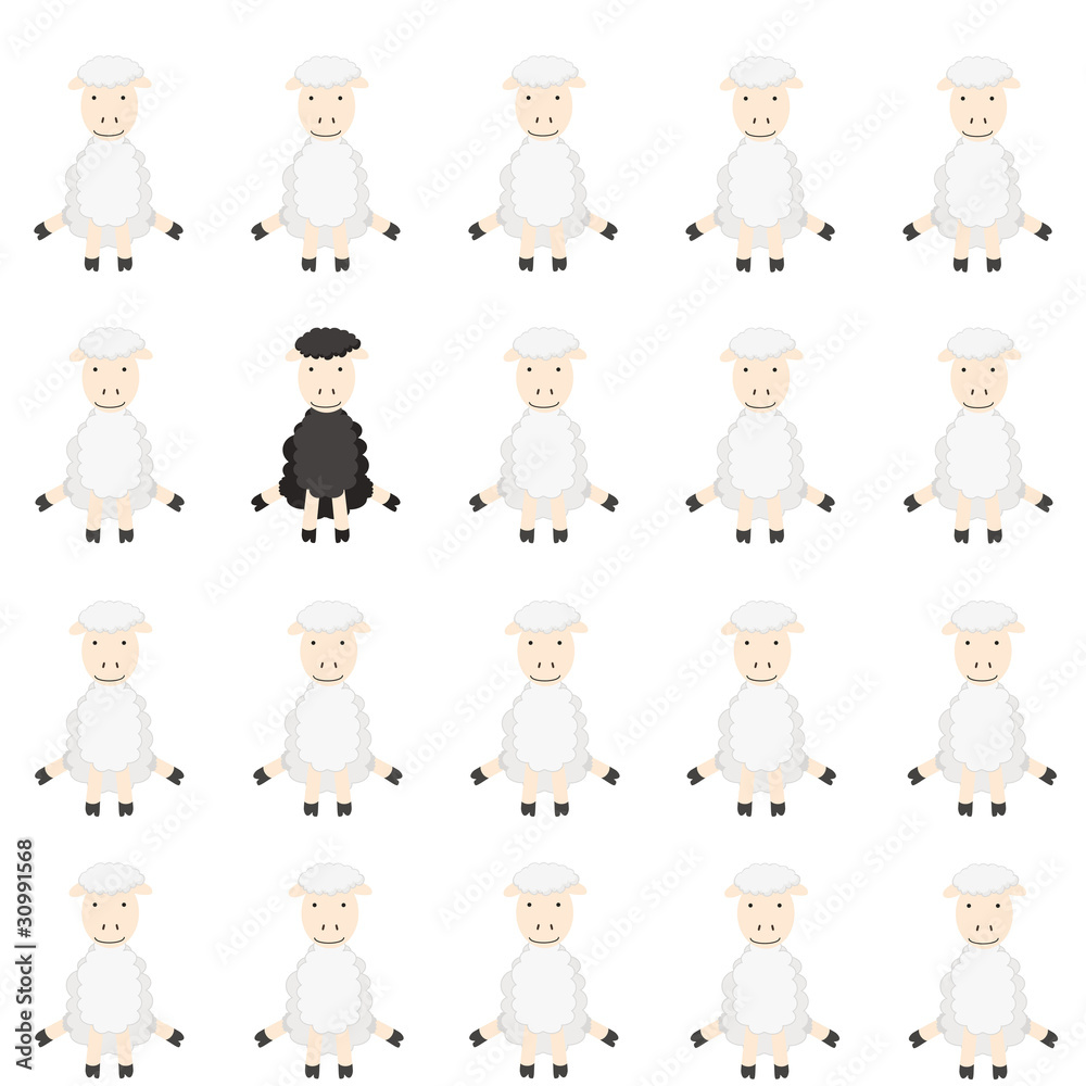 flock of sheep flock of sheep