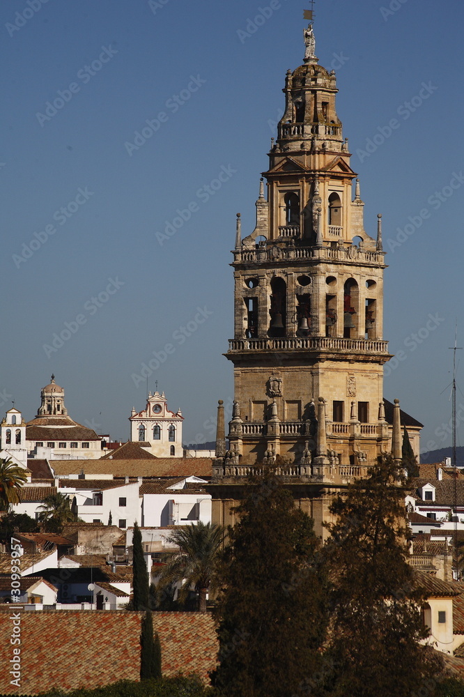 Cordoba, la Mezquita, tower La Giralda