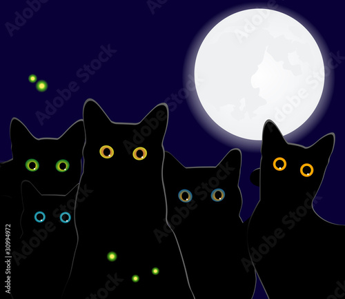 Black Cats by Night! - Black cats under the full moon.