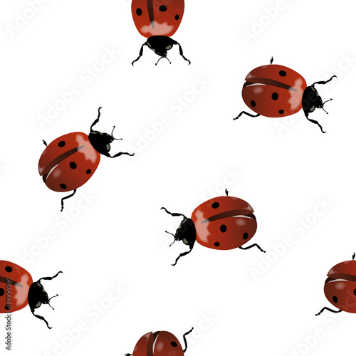 Seamless with ladybugs on white background