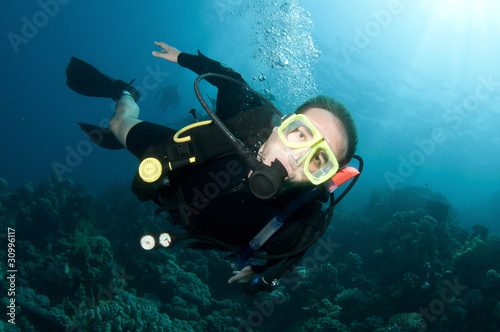Fototapeta Naklejka Na Ścianę i Meble -  scuba divers exsplore coral reef in the red sea