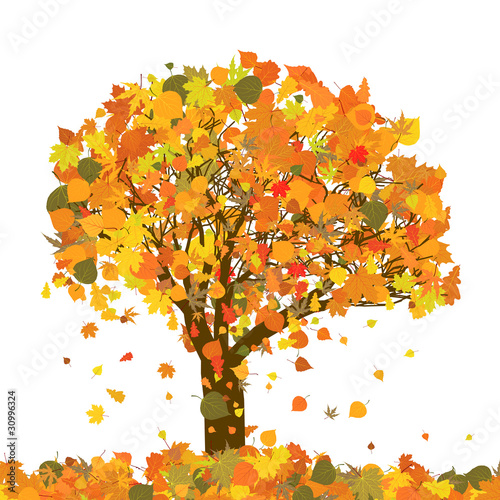 Beautiful autumn tree for your design. EPS 8