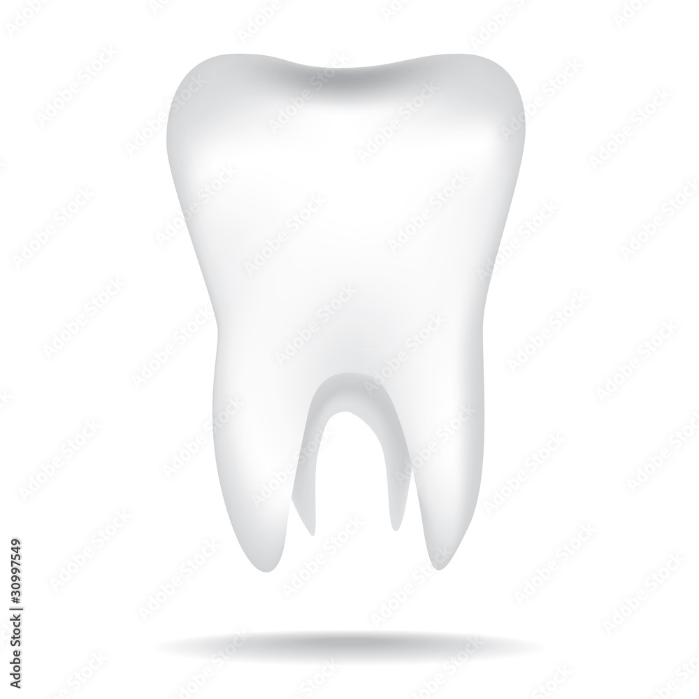 isolated white illustrations of the human tooth isolated white illustrations of the human tooth