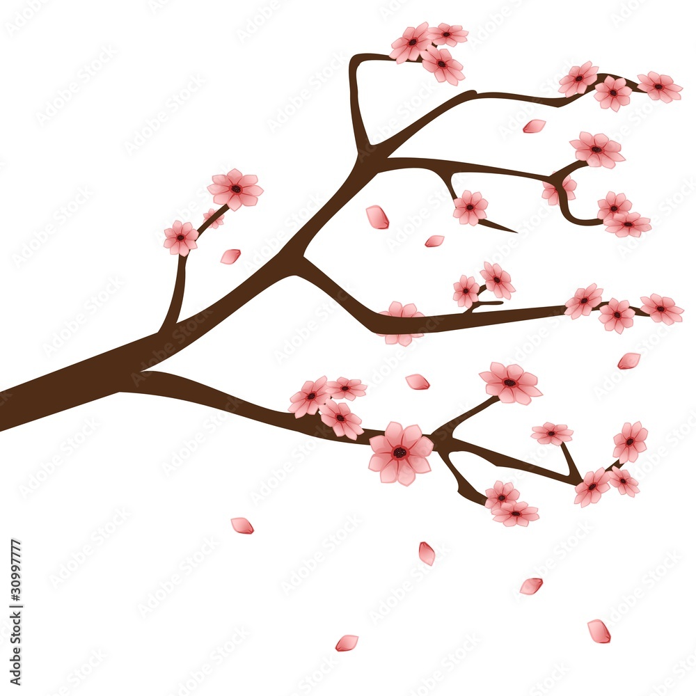 Zweig mit rosa Blüten