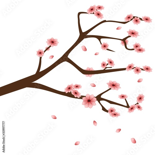 Zweig mit rosa Blüten