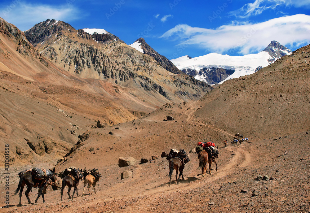 Trekking in Mendoza, Argentinien.