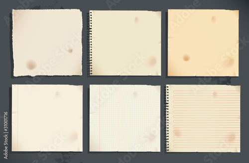 Set of notebook pages and torn paper