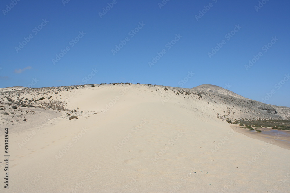 Fuerteventura Dunes