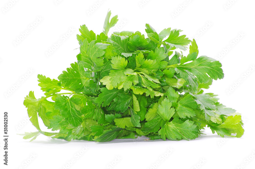 green parsley green parsley