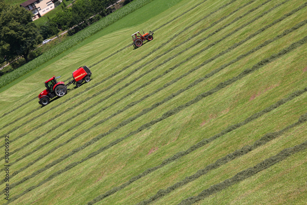 Mowing grass in Switzerland Mowing grass in Switzerland