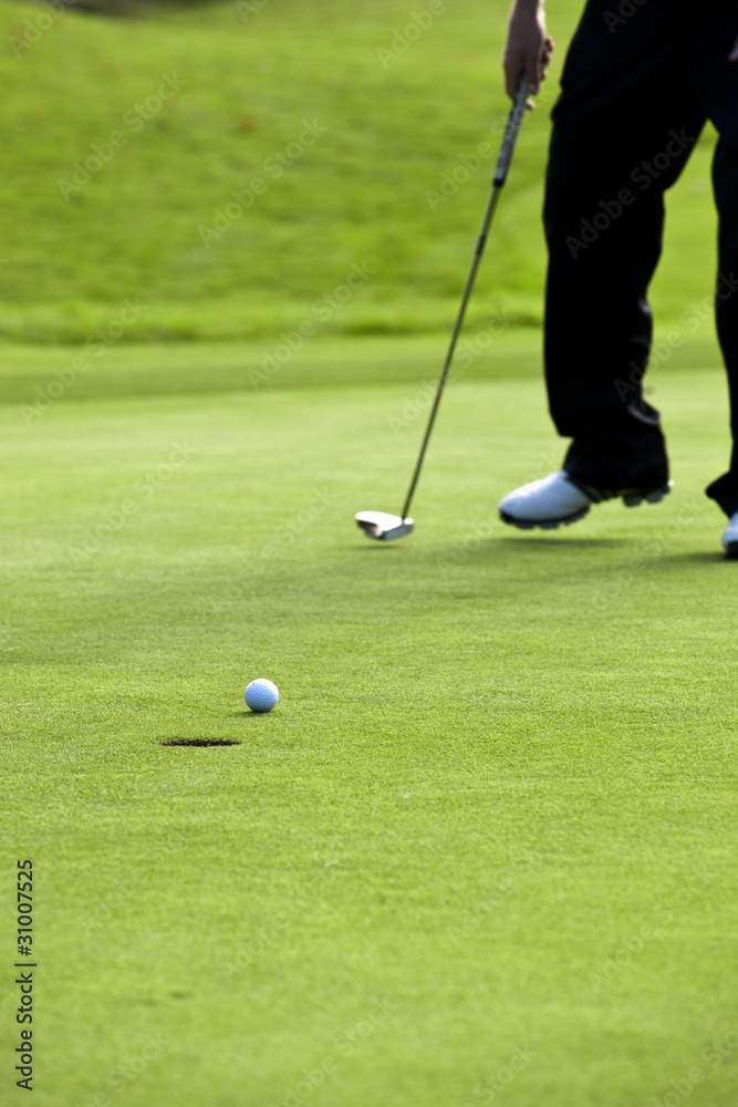 Obraz premium Playing Golf