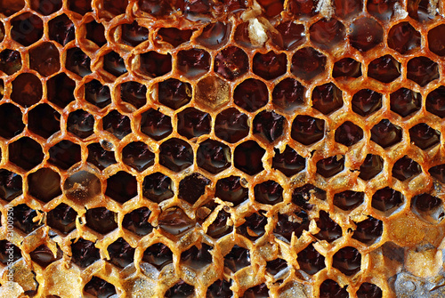 Honeycomb