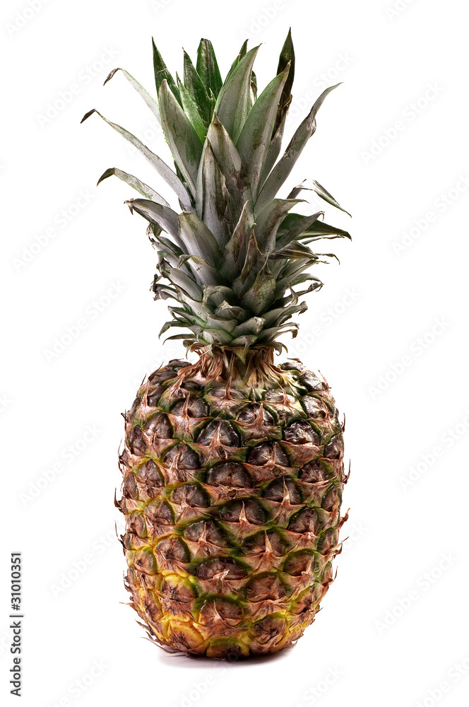 Fototapeta premium Pineapple