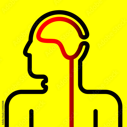 pictogram of brain and spinal cord