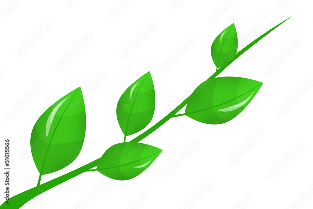 Obraz premium Green branch