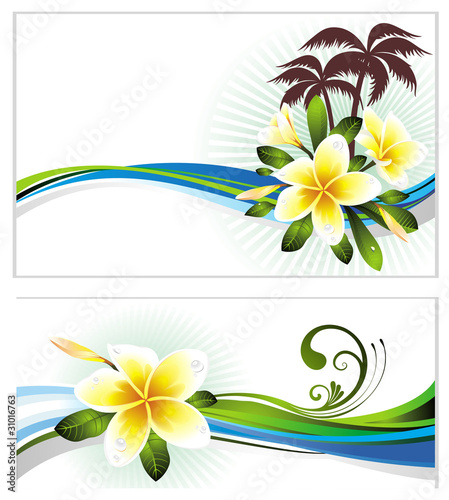 Set of summer banners with frangipani (plumeria) flowers