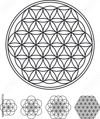 Flower Of Life Development from single circle to complex symbol. Geometrical figure, composed of multiple evenly-spaced, overlapping circles forming a flower-like pattern. Illustration over white.