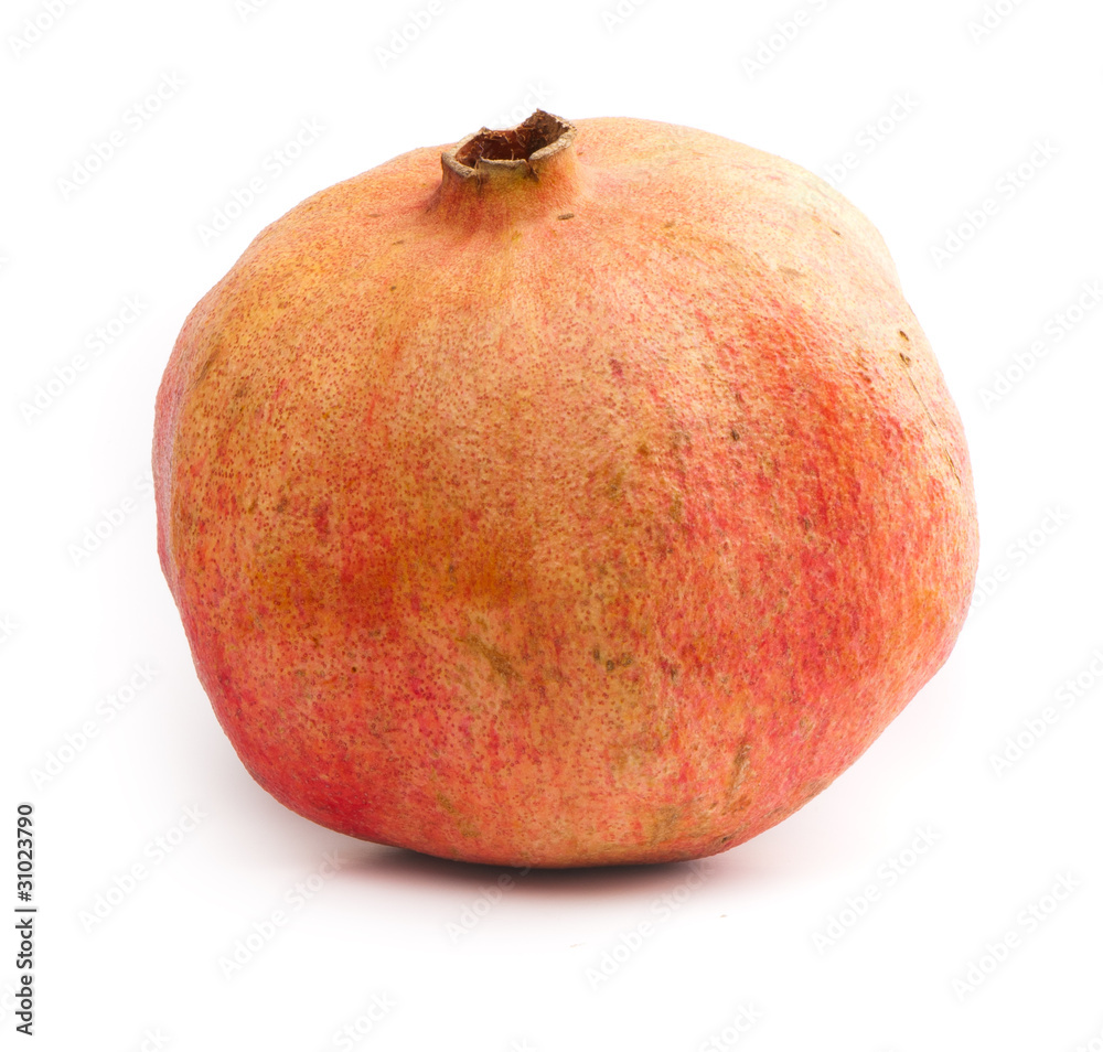 pomegranate pomegranate