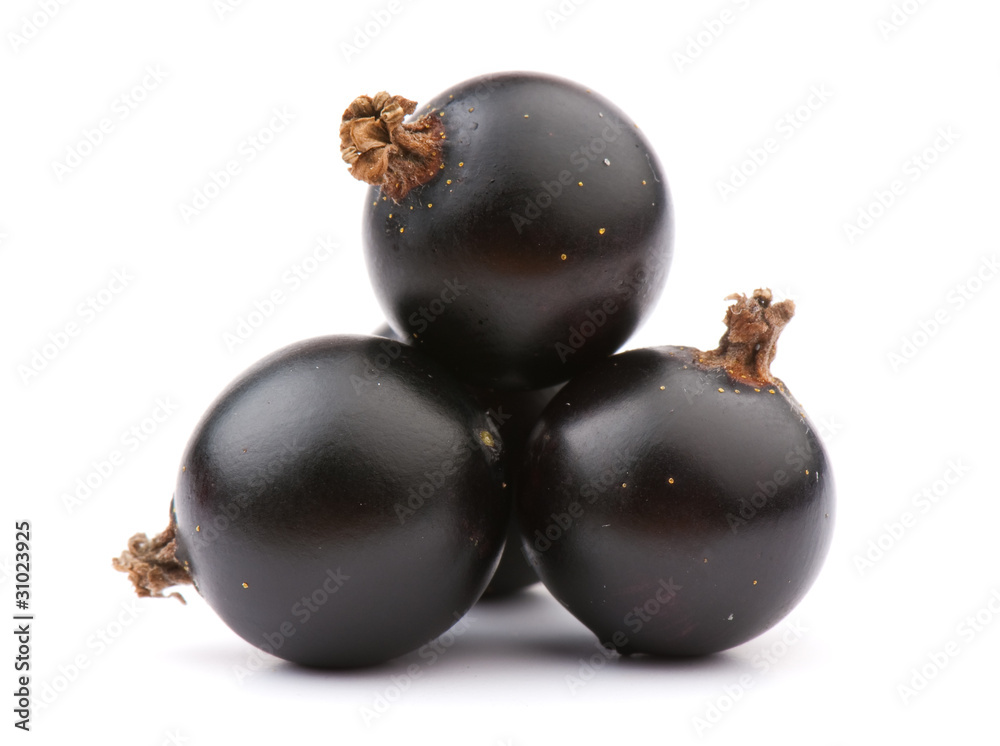 currant currant
