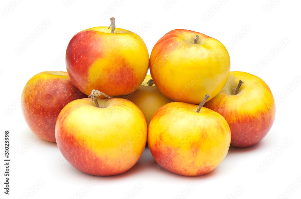 Apple Apple