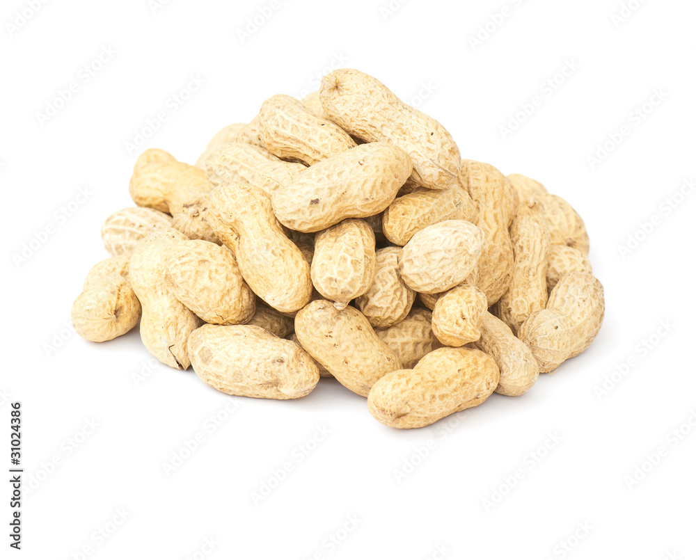 Peanut Peanut