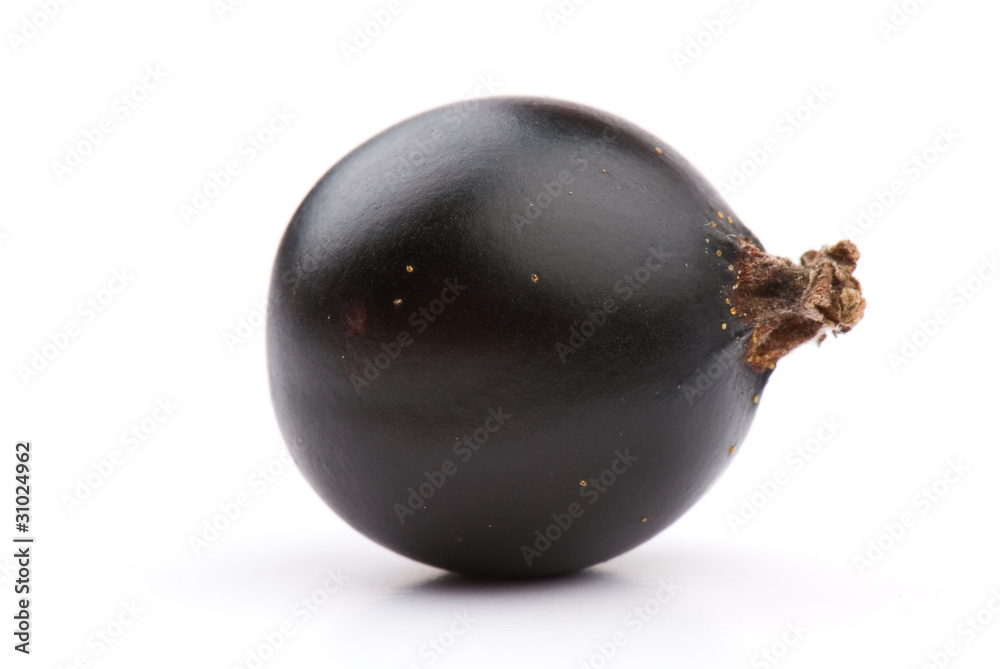 currant currant