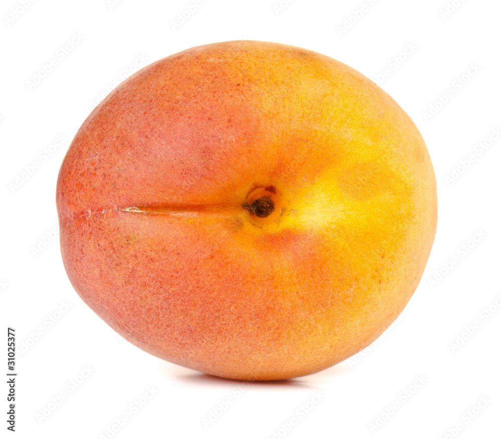 apricot apricot