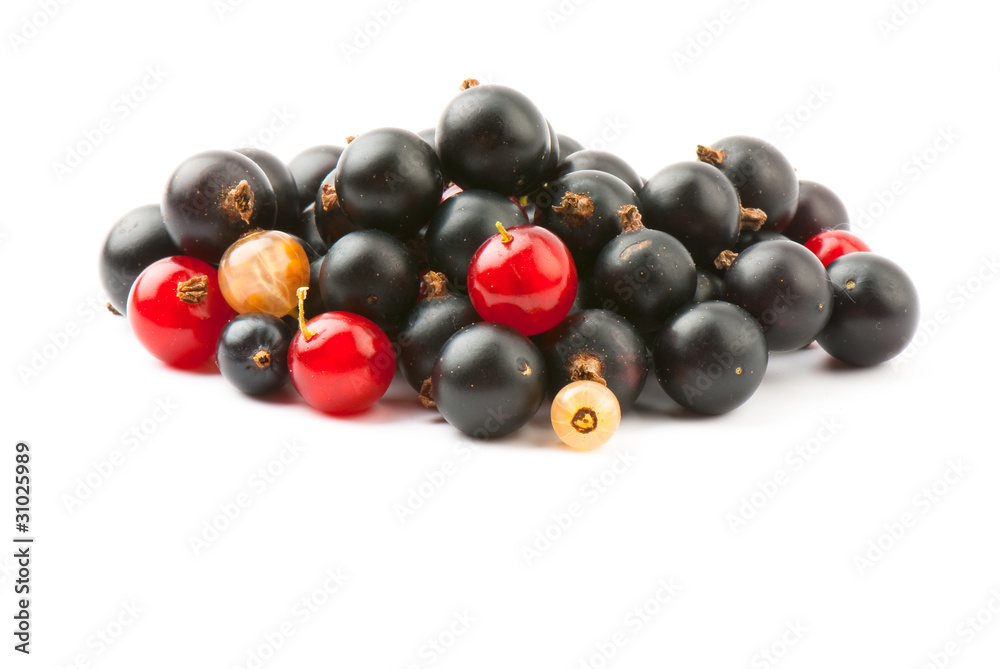 currant currant