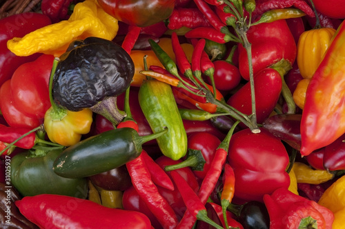 Chili