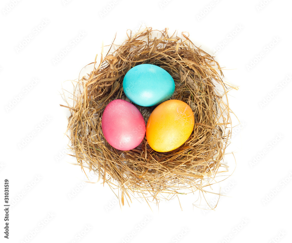 Easter eggs in bird nest Easter eggs in bird nest