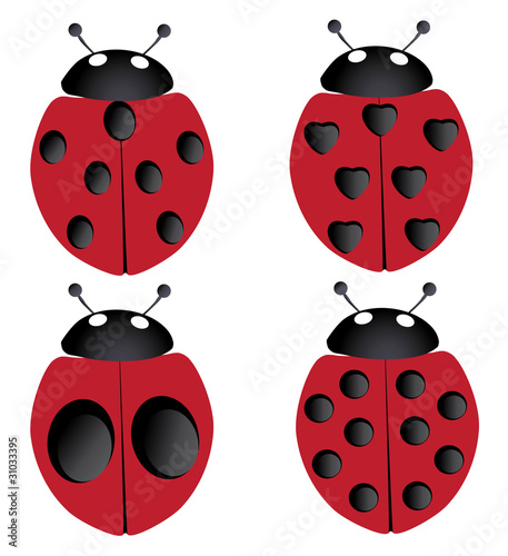 vectro four ladybugs