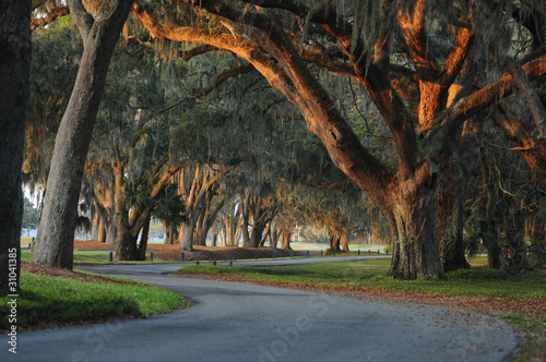 Photos old south
