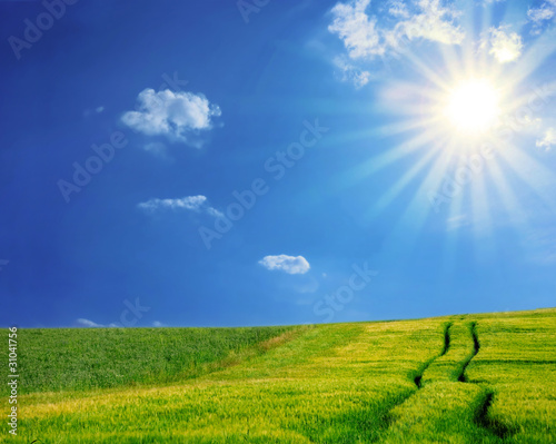 Rural landscape.