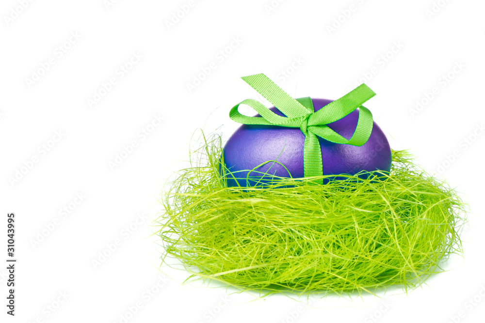 Naklejka premium easter egg in nest