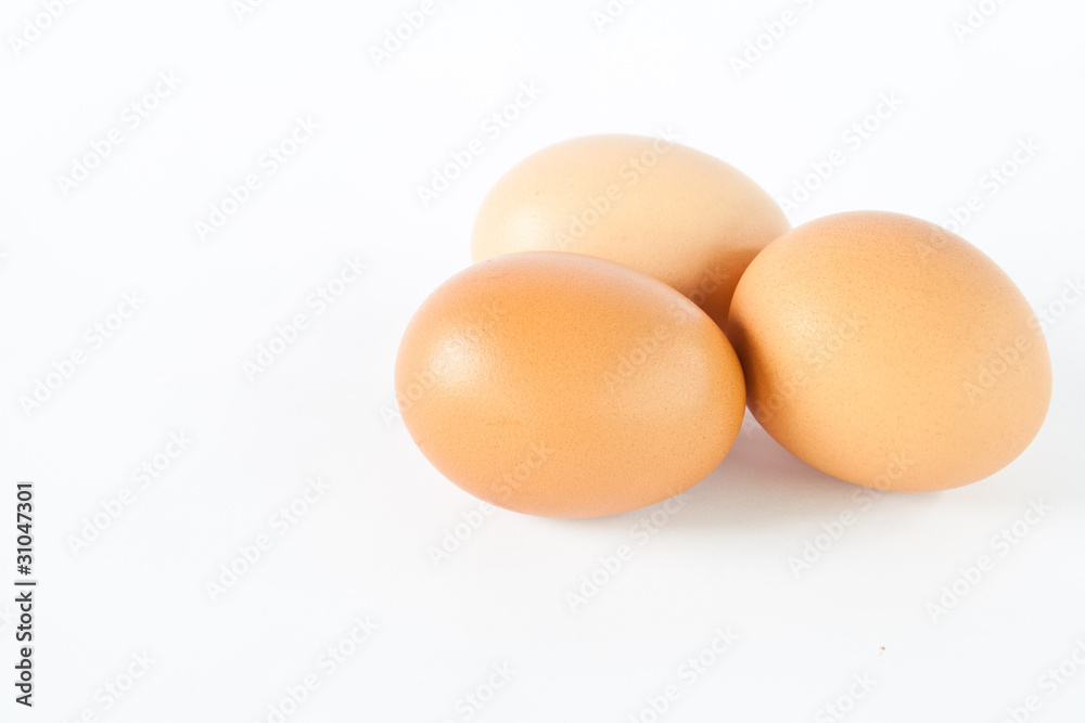 eggs on a white background eggs on a white background