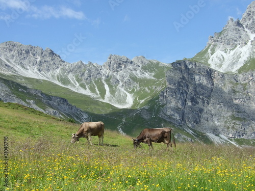 Foto Kreuzjoch im Stubaital