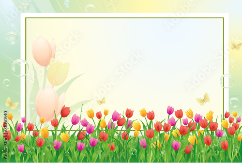 Blank paper with floral ornament