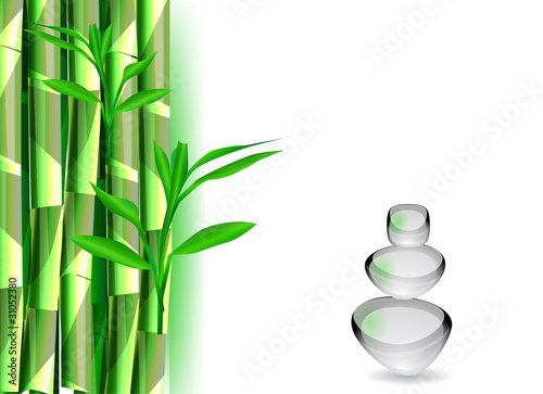 Bamboo isolated on white
