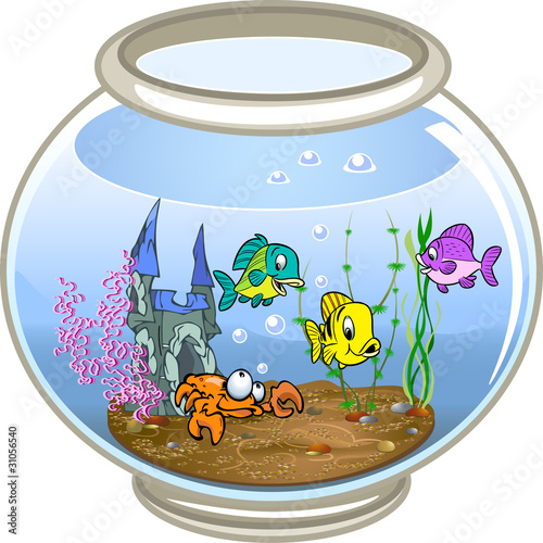 aquarium